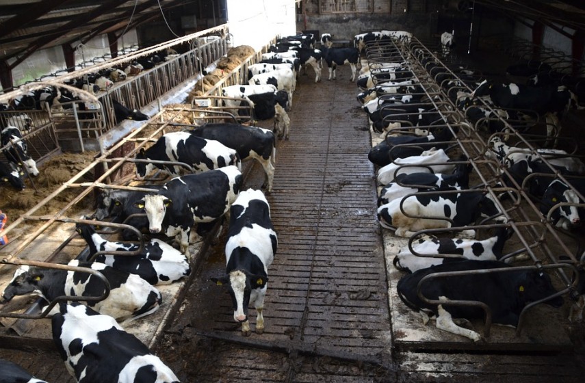 Agriculture and farming